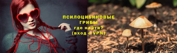 apvp Карталы