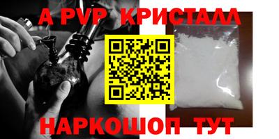 СК Обь