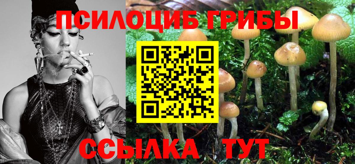 Псилоцибиновые грибы Magic Shrooms  Вход с VPN  Сосновоборск  Галлюциногенные грибы мухоморы 
